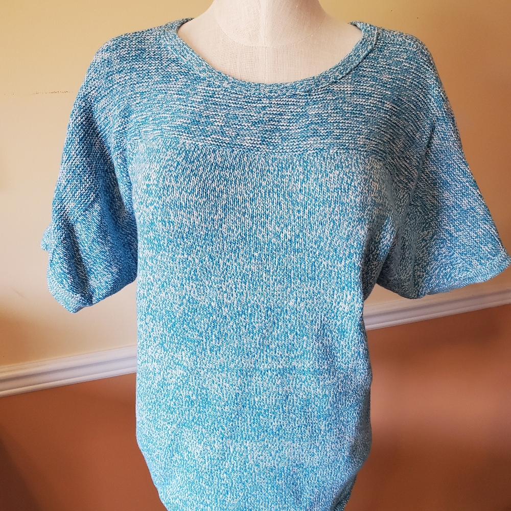 Chicos knit top